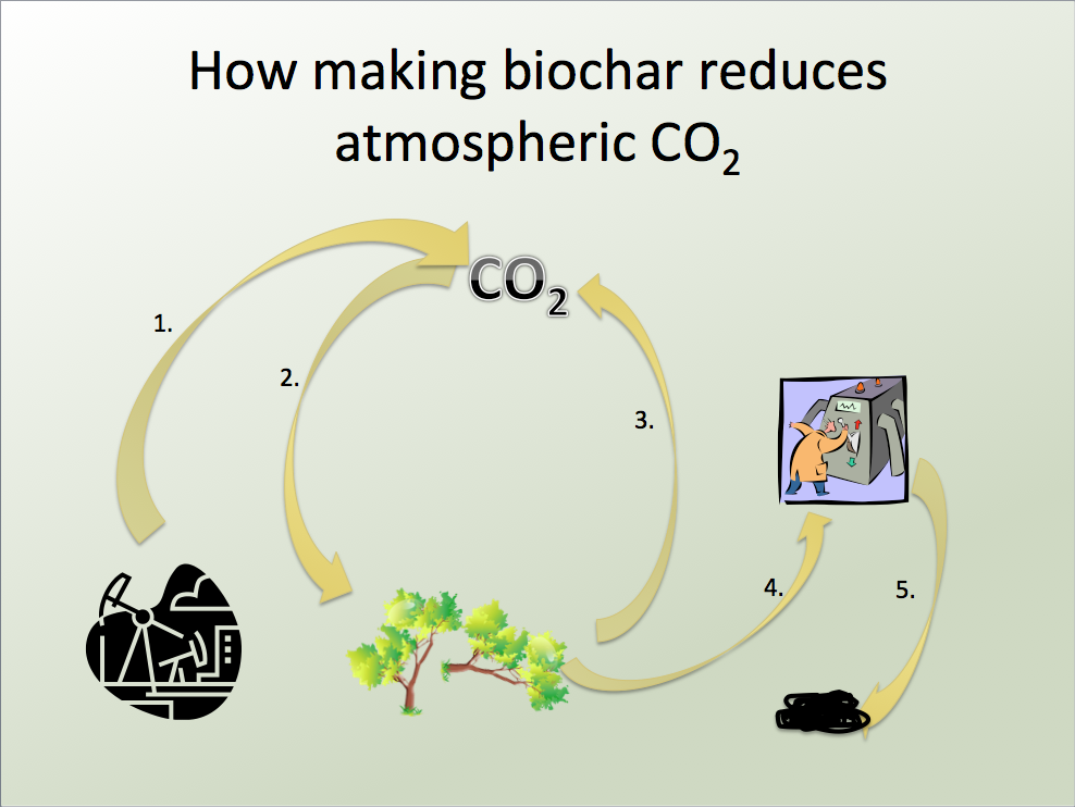 biochar reduces co2
